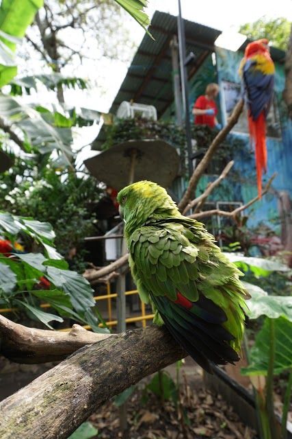 Herpetological Refuge Costa Rica